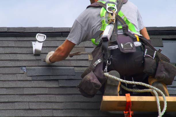 Best Metal Roofing Installation  in Burlington, ND