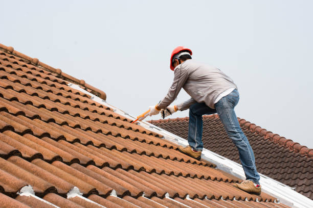 Best Metal Roofing Installation  in Burlington, ND